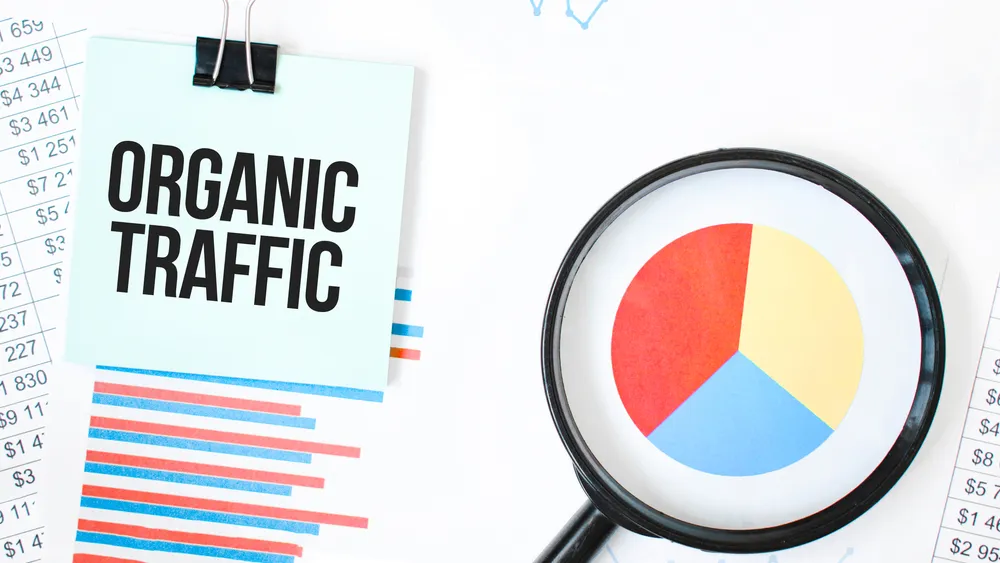 How to Grow Organic Traffic on Your Website in 2025